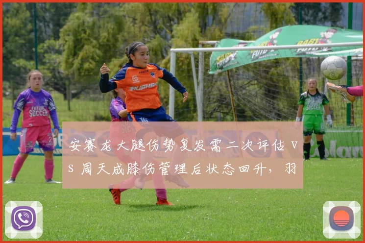 安赛龙大腿伤势复发需二次评估 vs 周天成膝伤管理后状态回升,羽坛男单老将伤病应对策略对比